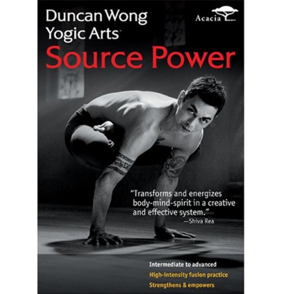 Duncan Wong Other - 🔥Host Pick🔥3/$15 Duncan Wong Yogic Arts DVD Source Power Yoga